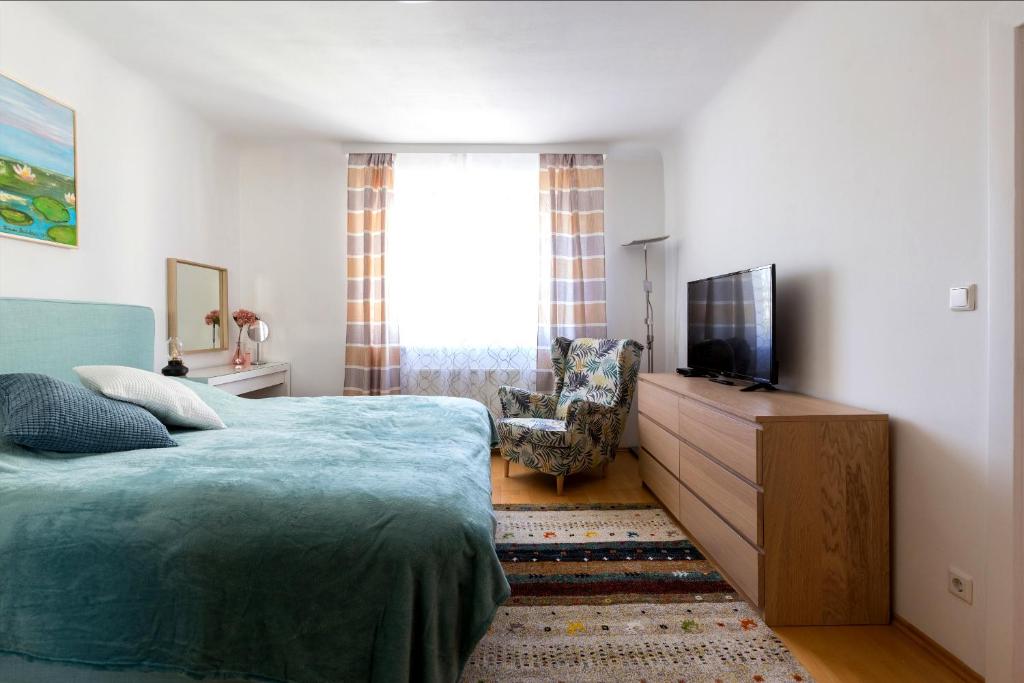 Apartment Rudolfsplatz - One-Bedroom Apartment