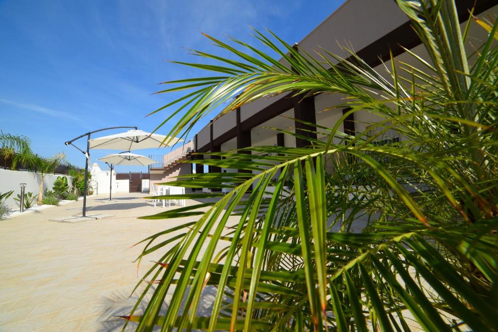 Fotografie z fotogalerie ubytování B&B Il FIORONE v destinaci Torre Canne