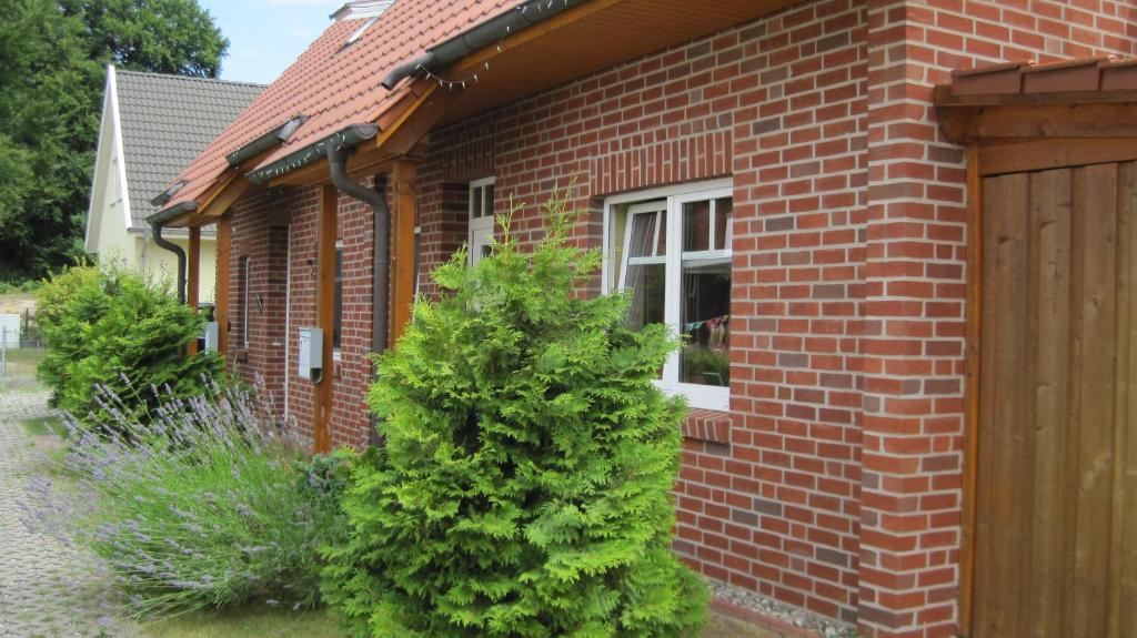 Zahrada ubytování Usedom Suites Ückeritz