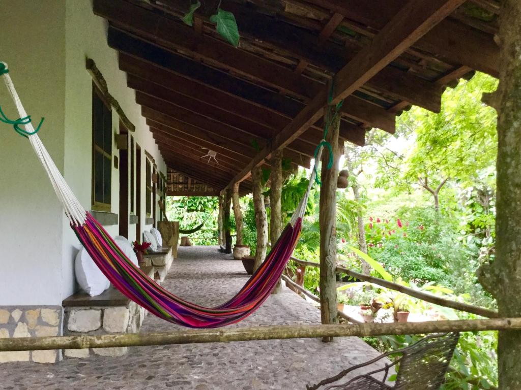 Zahrada ubytování Hotel Hacienda San Lucas