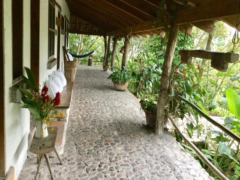 Zahrada ubytování Hotel Hacienda San Lucas