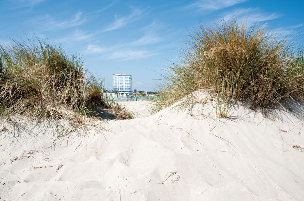 a path through the sand on a beach at Hotel Neptun in Warnemünde