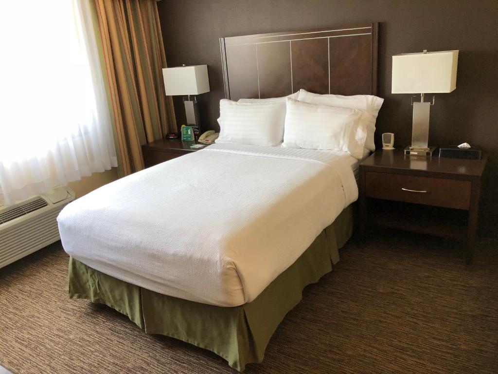 Holiday Inn Hotel & Suites Anaheim, an IHG Hotel - Habitación Estándar