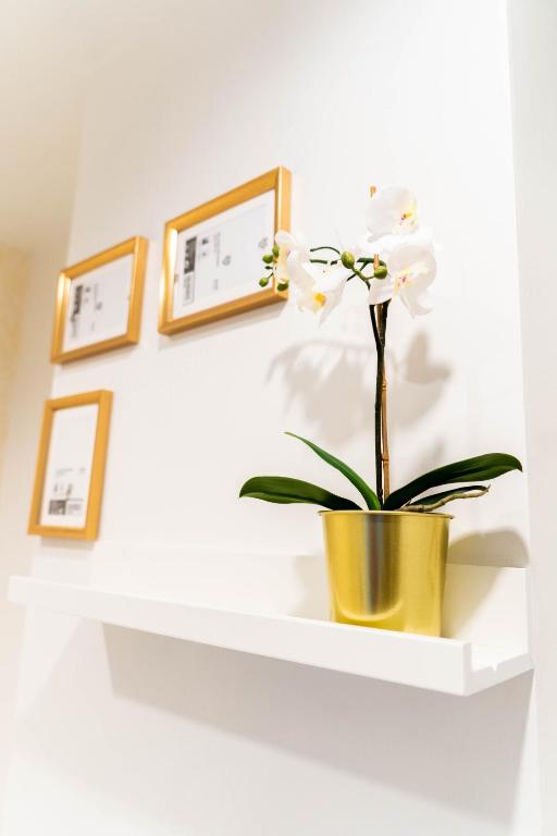 The LOL Elephant Hostel - 10