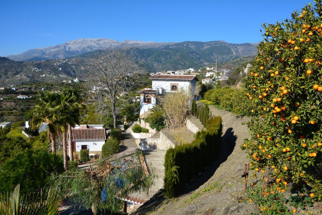 Fotografie z fotogalerie ubytování Finca Maroma v destinaci Cómpeta