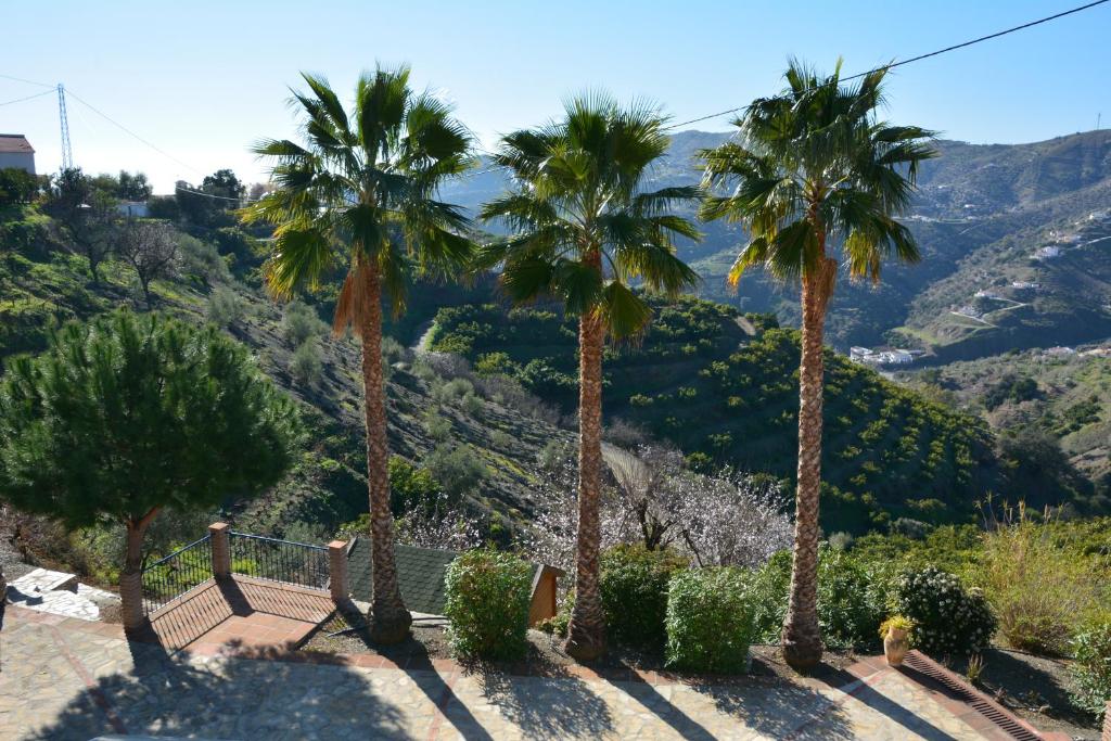Fotografie z fotogalerie ubytování Finca Maroma v destinaci Cómpeta