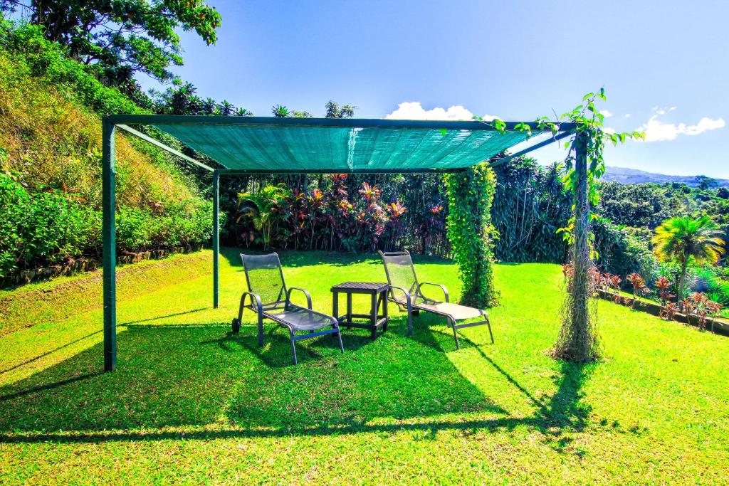 Zahrada ubytování Hotel Mango Valley