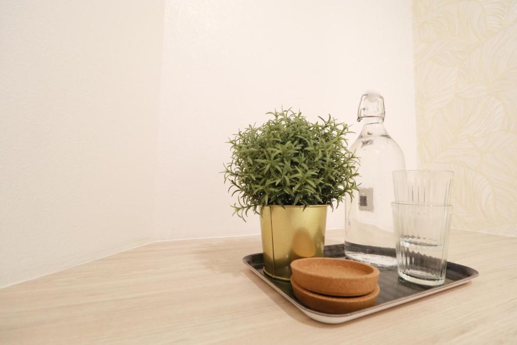 The LOL Elephant Hostel - 11