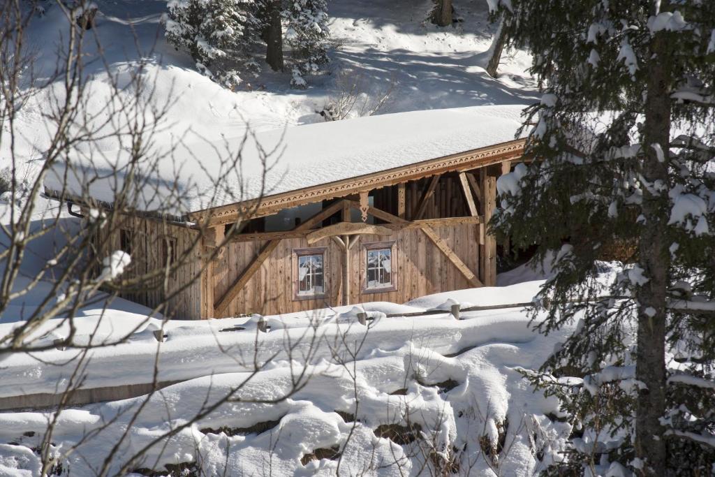 Almnest in Hochfügen mit privat SPA v zimě