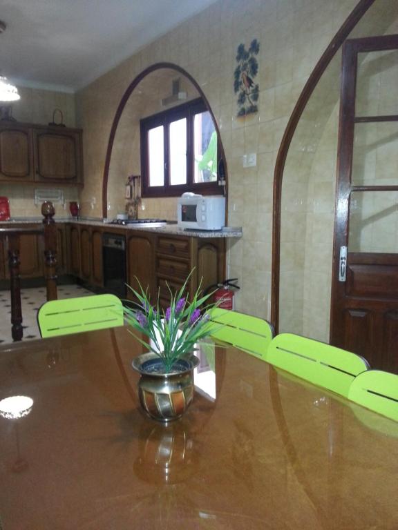 a kitchen with a table with a plant on it at Casa Rural La Verdura in Ubrique