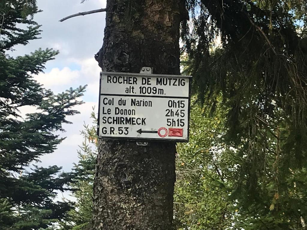 Příroda nedaleko ubytování v soukromí