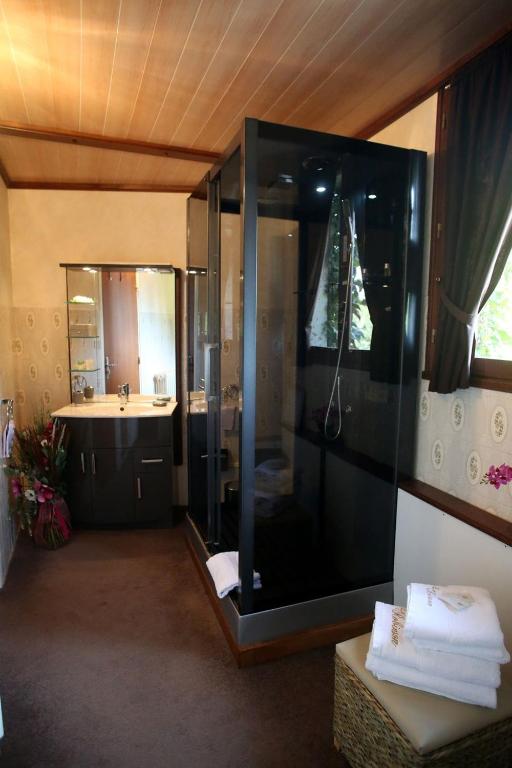 une grande salle de bain avec douche et lavabo dans l'établissement Le Robinson, à Mézières-sur-Oise