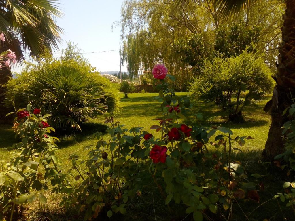 un jardín con rosas rojas, árboles y césped en Il Giardino delle Rose A, en Olmedo