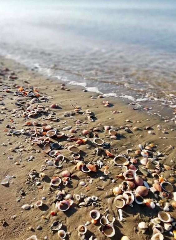 a group of shoes on the beach at AzzurRomare Flat apartment in Lido di Ostia