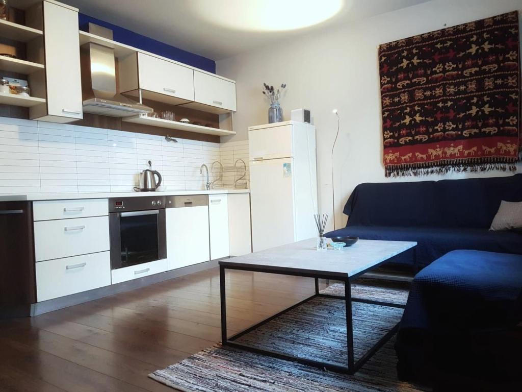 Kuchyň nebo kuchyňský kout v ubytování Blue Dreams Apartment