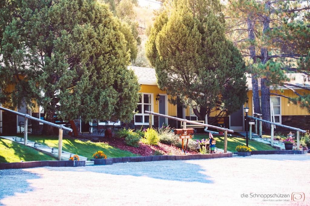 a yellow house with trees in front of it at The Pines Country Inn in Newcastle