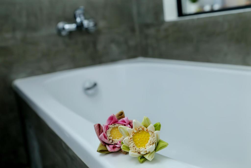 Fotografie z fotogalerie ubytování Noni Tree Hostel v Siem Reap