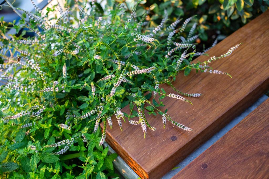 The Foundry Suites - Resim 11