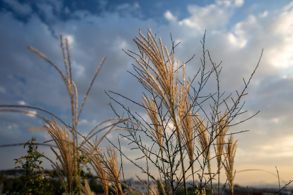 The Foundry Suites - Resim 19