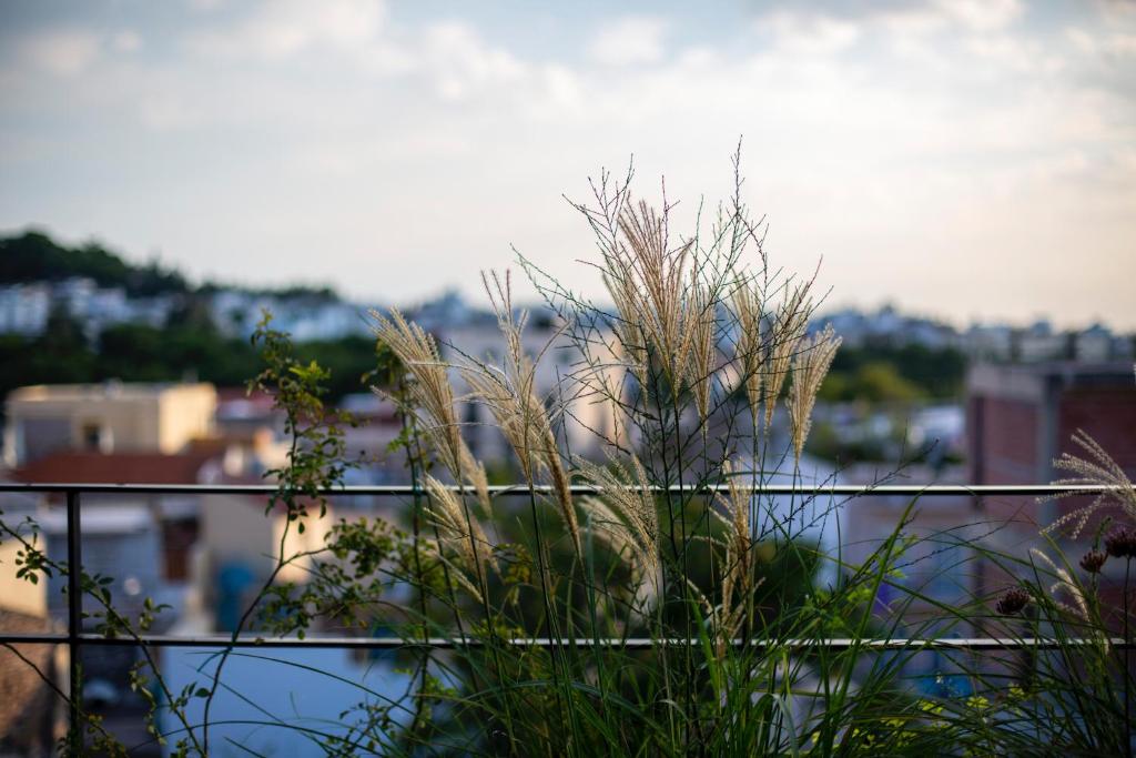 The Foundry Suites - Resim 13