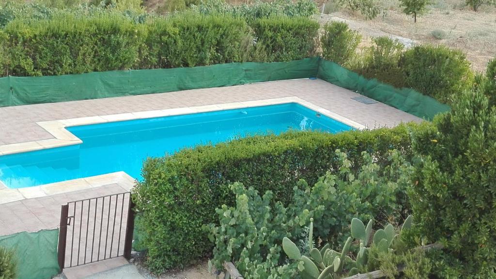 Zdjęcie z galerii obiektu Cuevas La Solana w mieście Graena