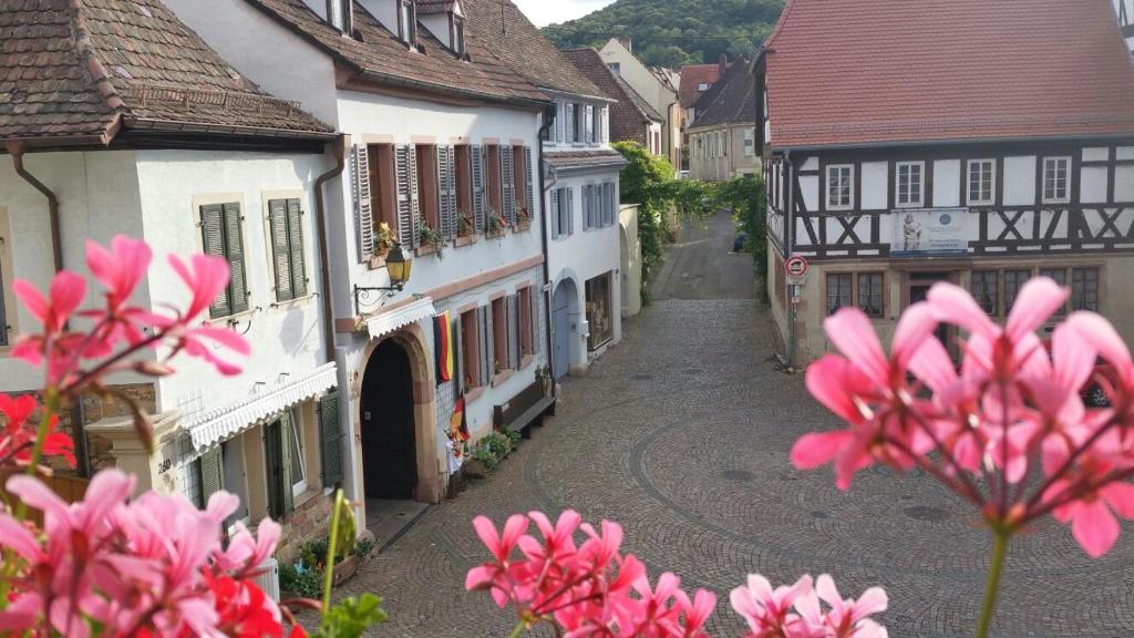 ノイシュタット・アン・デア・ヴァインシュトラーセにあるHaus Wasmuth - Ferienwohnung DORFPLATZの建物のある町のピンクの花の小路