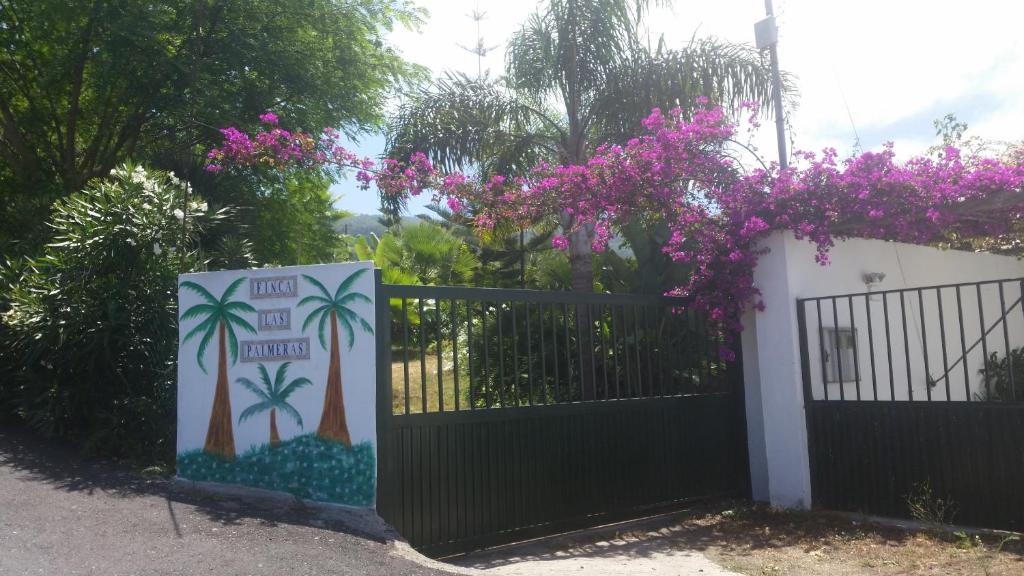 イコー・デ・ロス・ビノスにあるFinca las Palmerasの椰子の塀