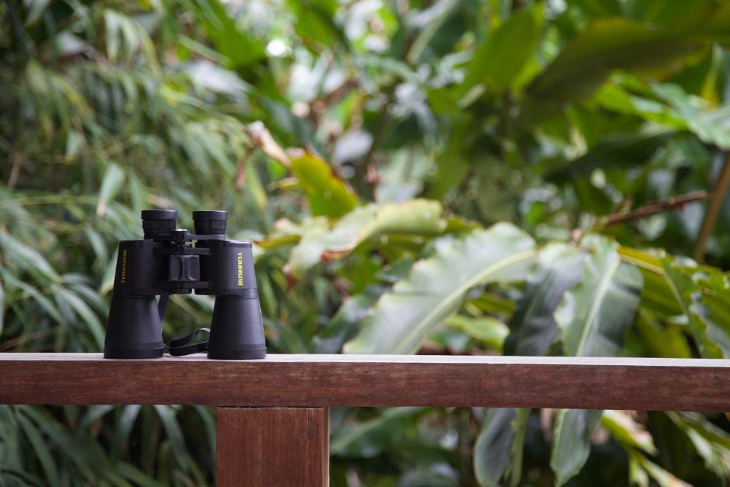 a pair of binoculars sitting on a wooden bench at The Rainforest Beach House - 200m from beach in Barra do Una