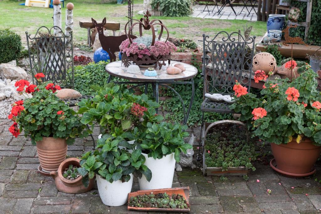 Zahrada ubytování Ferienwohnung Zetzl