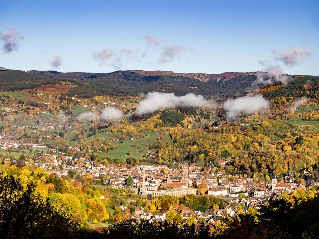 STUDIO ST GREGOIRE Au Pied des Vosges et Vignoble ! – photo 39