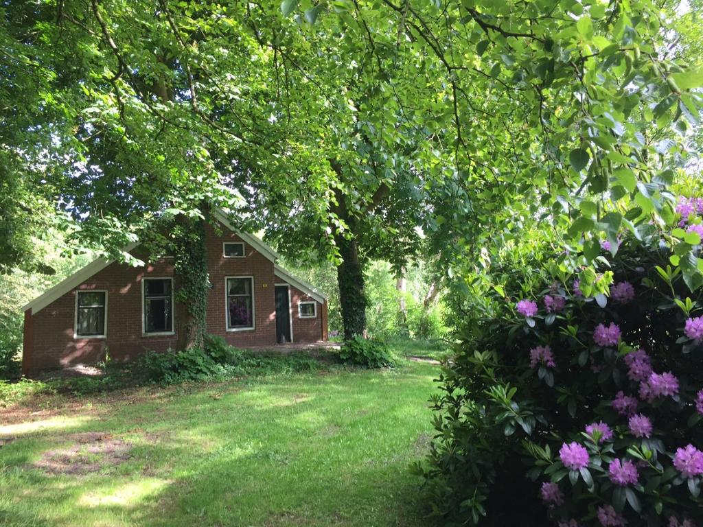 a small house in the middle of a yard at Veenhoes in Vriescheloo