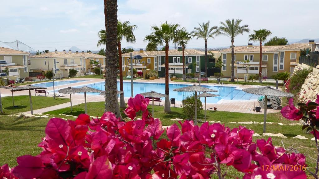 Blick auf einen Pool mit rosa Blumen in der Unterkunft Maison Illeta Golf Bonalba in Mutxamel