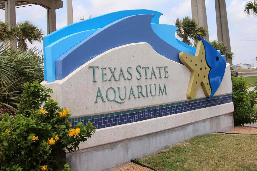 Fotografie z fotogalerie ubytování Affordable family condo -walking distance to beach by Mustang Island, Sleeps Four, 2025 Traveler Award v destinaci Padre Island