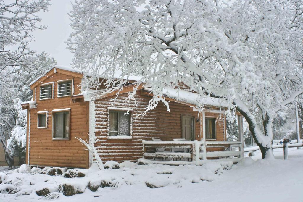 Ein Zivan Village Resort v zimě