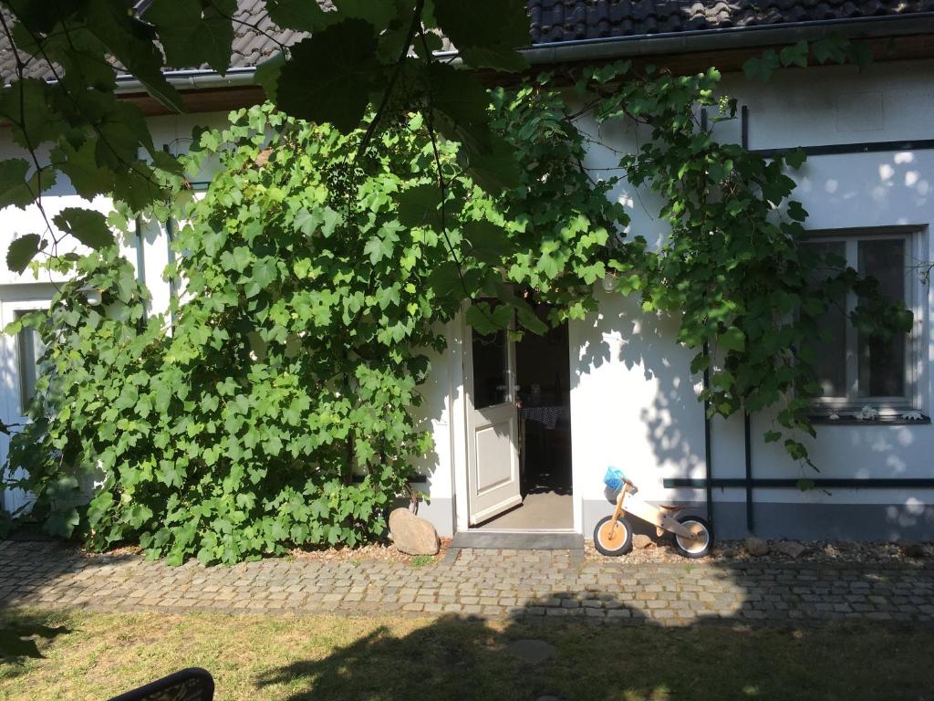 una bicicleta estacionada frente a una puerta blanca en Fischer´s Häuschen, en Straupitz