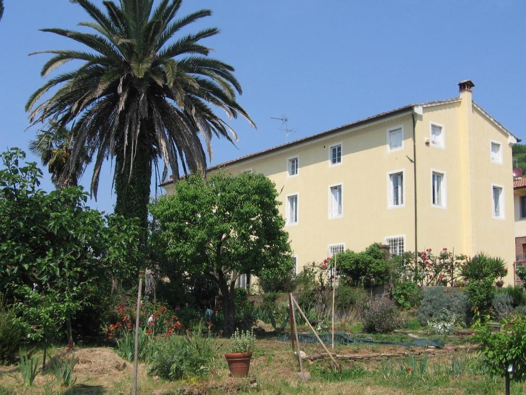 a palm tree in front of a building at Casa Marcè a "Sonno" in Porcari