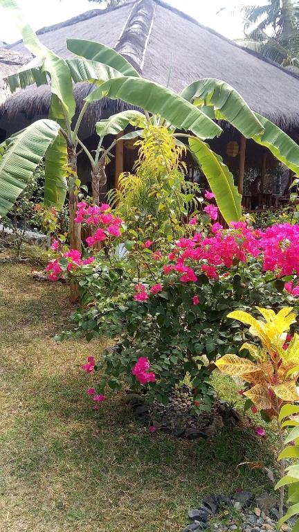 Kuta Lemon Tree