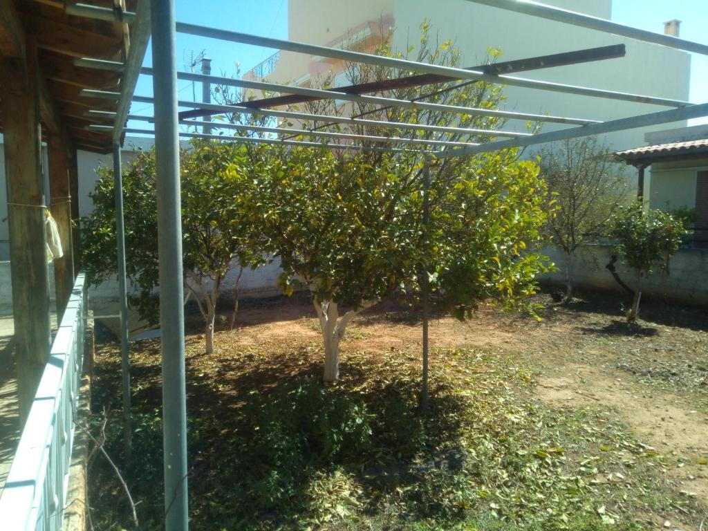 Κήπος έξω από το Vangelis House near Athens Airport