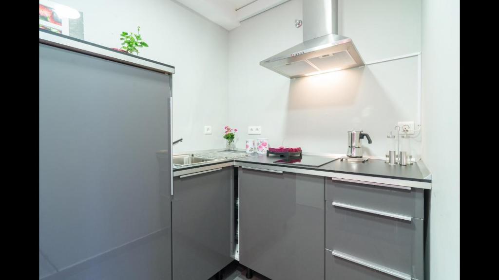 Kuchyňa alebo kuchynka v ubytovaní Kentia Rooms