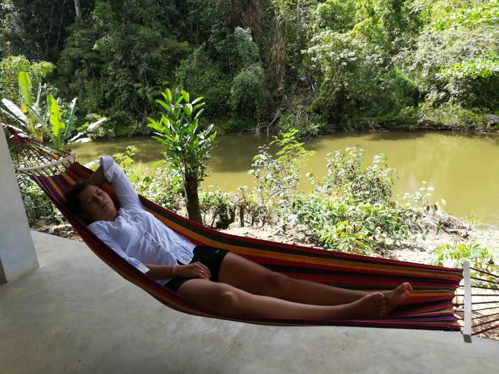 Sinharaja Vini Villa - 1