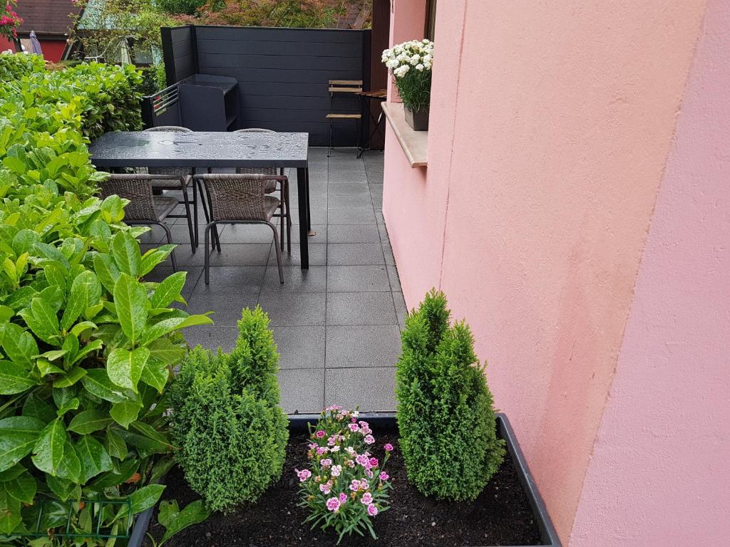 Zahrada ubytování Gite Delphine