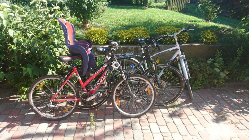 Jazda na bicykli v okolí ubytovania Apartament Topczewo