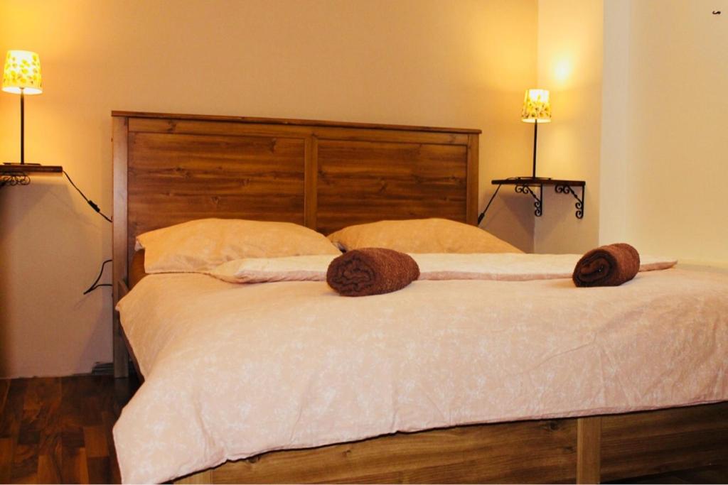 a bedroom with a large bed with two pillows at Apartments Banovci in Banovci
