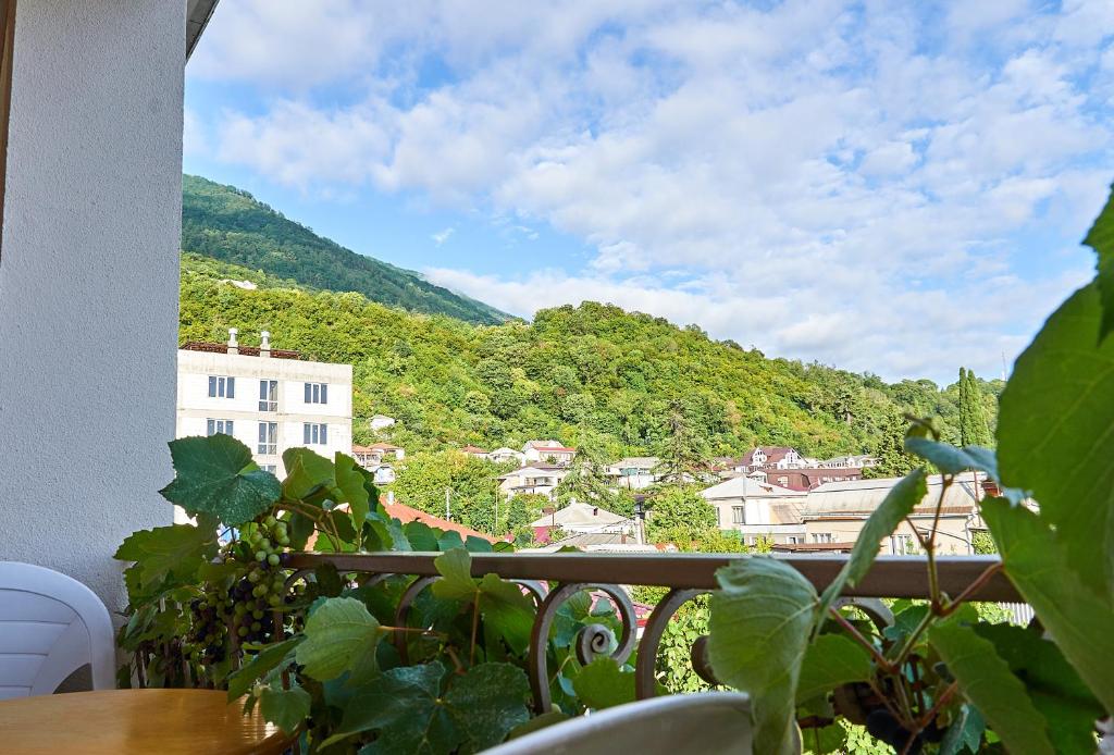Gallery image of Marco Club in Gagra
