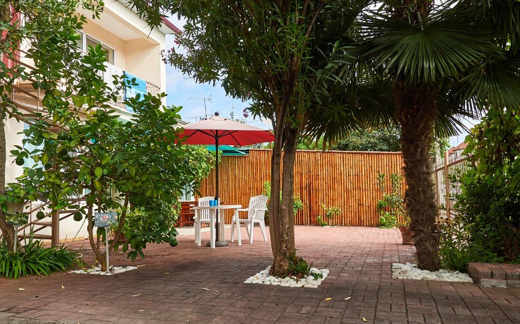 Gallery image of Marco Club in Gagra