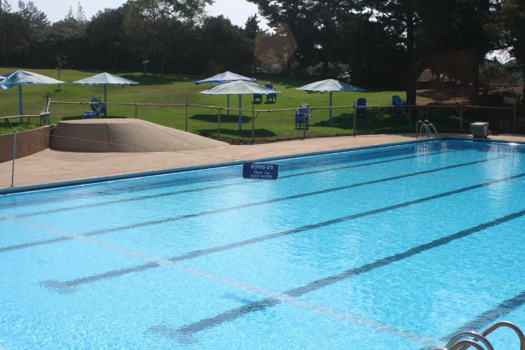 Bazén v ubytování Ein Zivan Village Resort nebo v jeho okolí