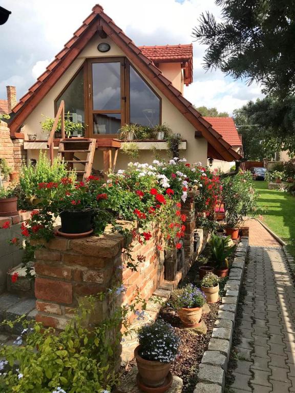 Fotografie z fotogalerie ubytování Apartmán vinaře / At Winemaker's v destinaci Rohatec