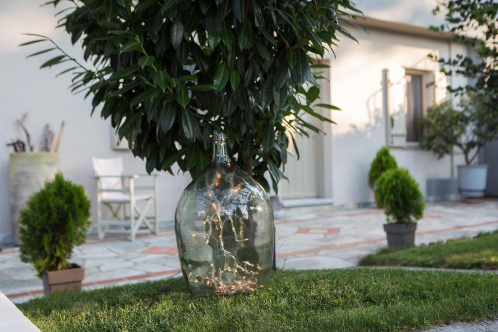 Zahrada ubytování Olga Hotel Mouresi
