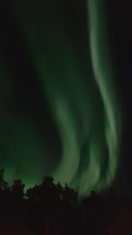 Fotografie z fotogalerie ubytování Amazing Sea View Luleå v destinaci Luleå