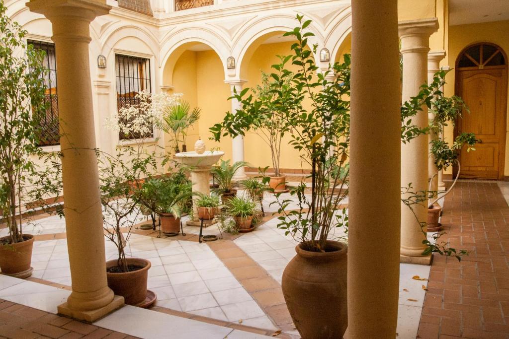 El Mirador de la Judería, Córdoba – Precios actualizados 2023